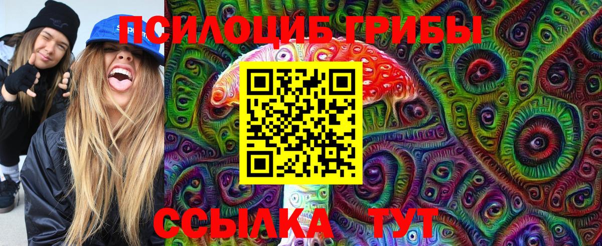 Псилоцибиновые грибы мицелий Родники