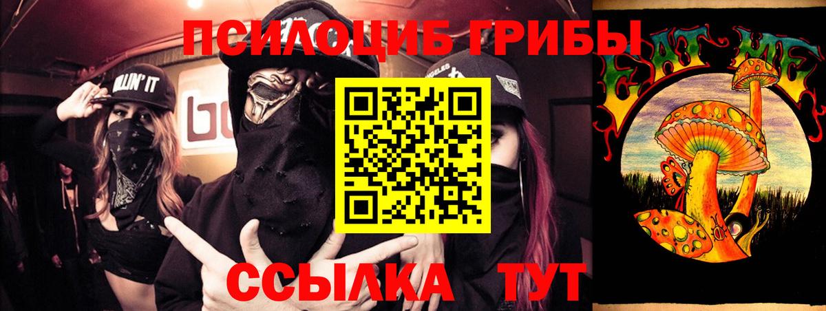 Родники  где купить наркоту  Вход с VPN  Псилоцибиновые грибы мицелий 